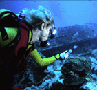 Inspecting a sunken ship hull
